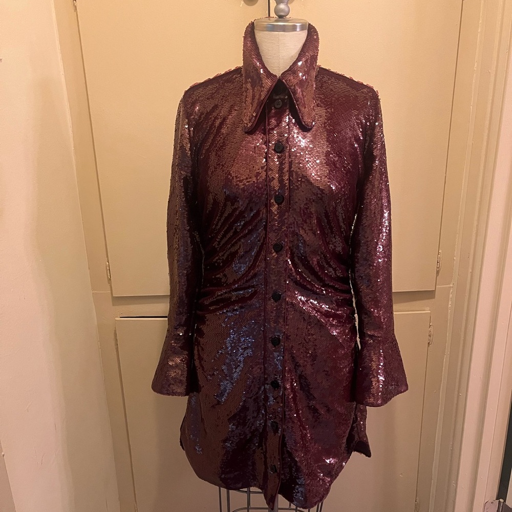 Shimmering Burgundy Sequin Dress